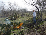 P1050027.JPG
