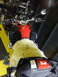 P1000047.JPG