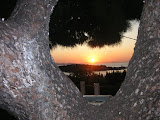 PICT0094.JPG