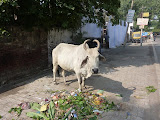 P1000648.JPG