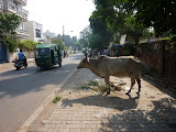 P1000649.JPG