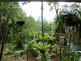 P1000332.JPG