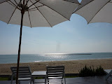 P1010964.JPG