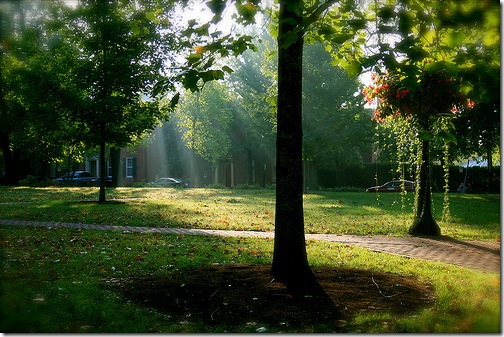 Gratz Park
