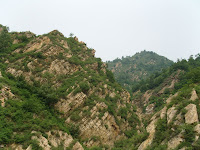 SNV14440.JPG