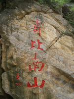SNV14444.JPG