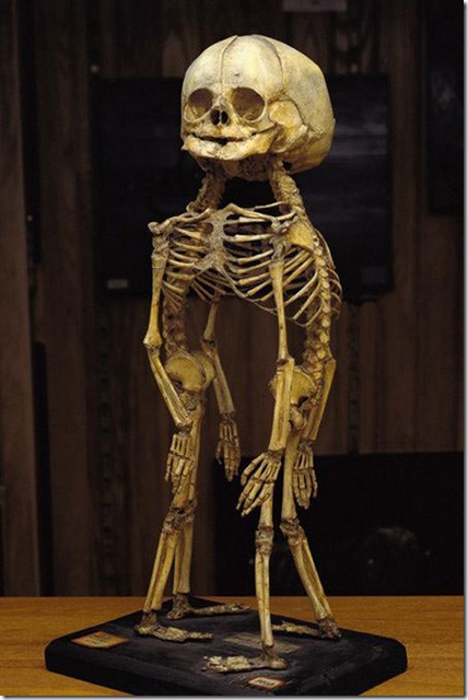 alien-skeleton