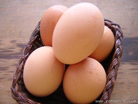[telur[2].jpg]