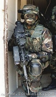 Monyet Dilatih Jadi Anggota Militer 1
