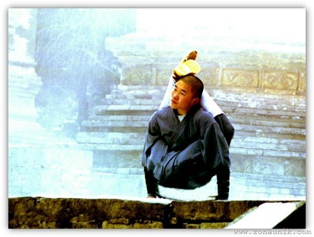 [amazingcoolawesomeincredibleShaolinKungFuChinesemartialartsskillphotos19[3].jpg]