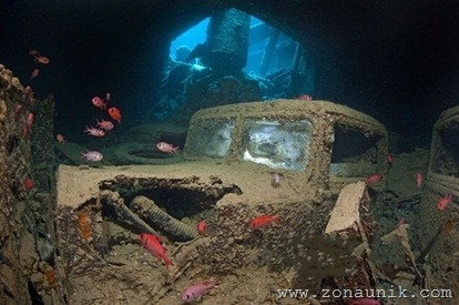 coolbeautifulprofessionalphotosremainsShipwrecksworldoceanseafloor