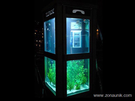 [aquarium05[3].jpg]