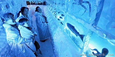 iceaqua01
