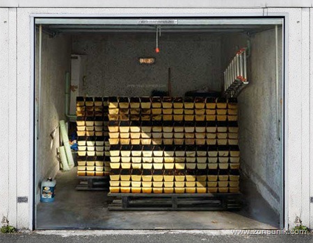 [gold[3].jpg]