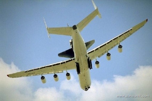 an-22503