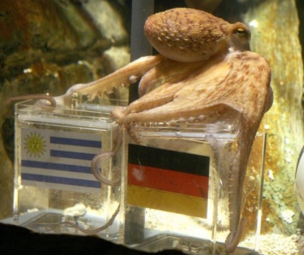 Pulpo predice resultado Uruguay vs Alemania