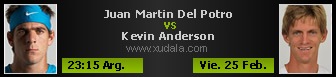 Juan Martin Del Potro vs Kevin Anderson