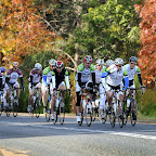 Entoure Cycle Classic Hunter Valley 2009