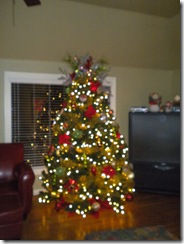 Christmas 2009 tree 240