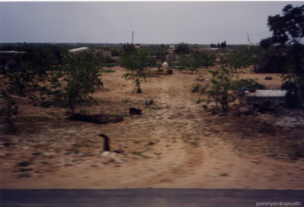 [File0008[1].jpg]