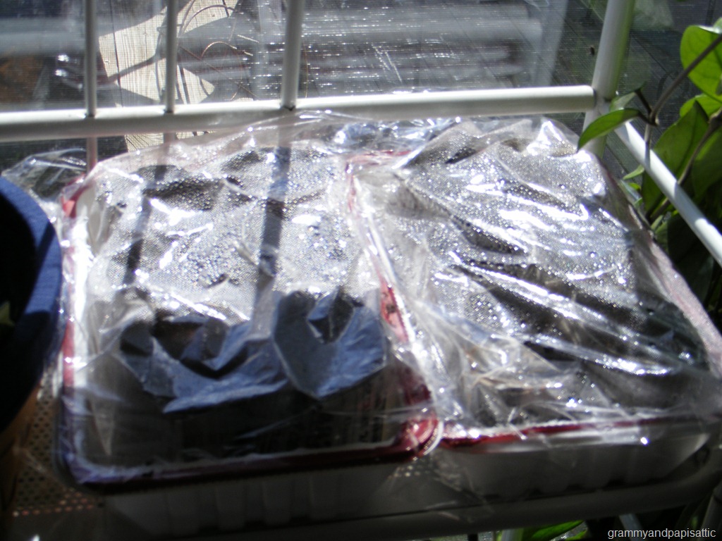 [DSCF10213.jpg]