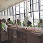 P1010004.JPG