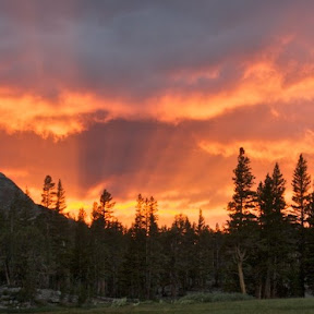 Improve Outdoor Photography without Spending Money