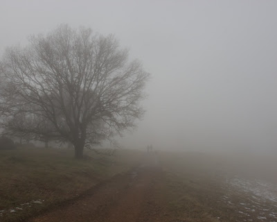Ohlone Regional Wilderness