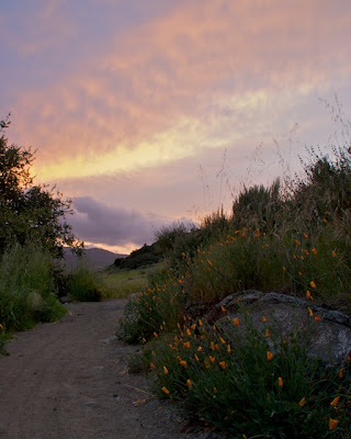Santa Teresa County Park