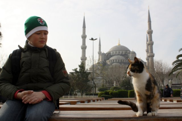 Фото-заметки стамбульского кота