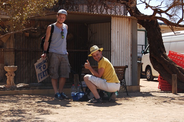 [_DSC0222[2].jpg]