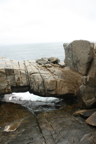 [IMG_55582.jpg]