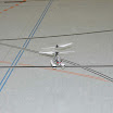DSC01543.jpg