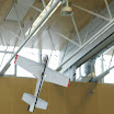 DSC01555.jpg