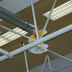 DSC01573.jpg
