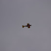 IMGP0362.JPG