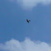 k-P1110157.JPG