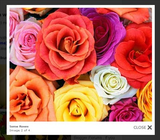 [Image Viewers for Wordpress & Blogger[5].jpg]