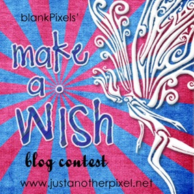 Make a Wish Blog Contest