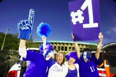 sports-fan-3