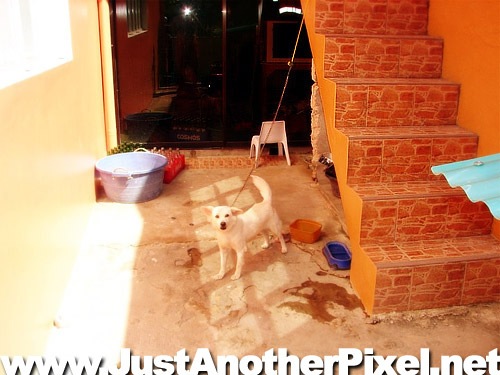 [back entrance[3].jpg]