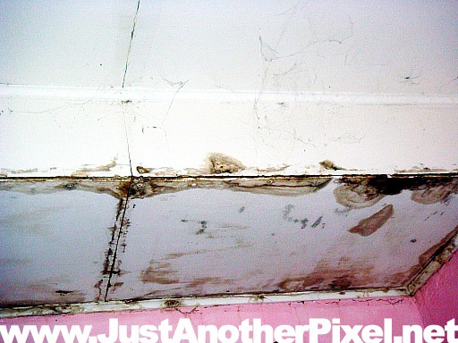[molds and termite damage[3].jpg]