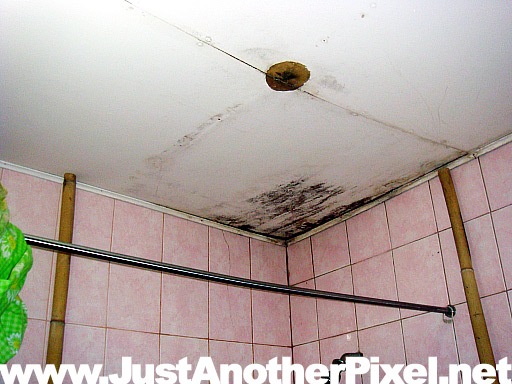 [our bathroom ceiling supported by bamboo poles[3].jpg]