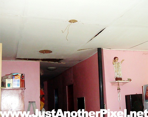 [living room ceiling[3].jpg]