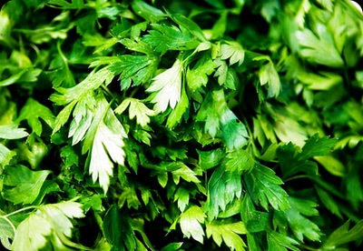 Parsley - JustAnotherPixel.net