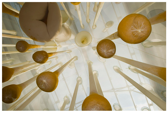 [ernesto neto2[6].png]