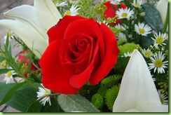 DSC00194 DSC00194