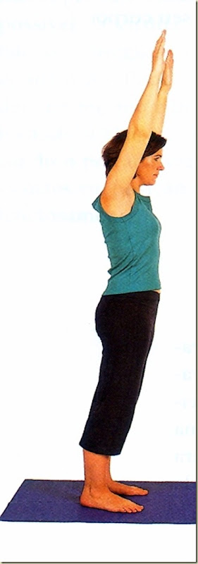 Yoga tipo 8 mudra 1