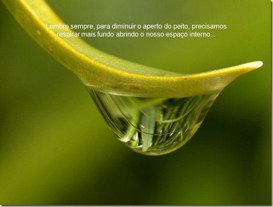 Agua 23 Agua 23