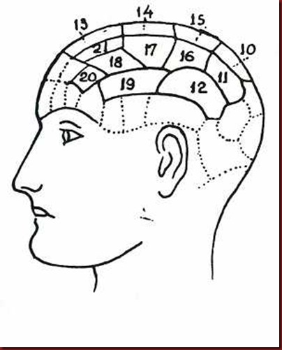 Craniologia 05